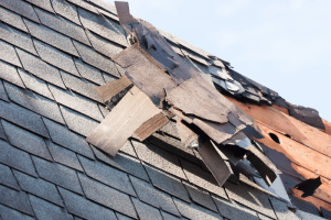 The image shows a close-up of a roof with severe wind damage, featuring torn and displaced shingles. This emphasizes the need for professional wind damage restoration in Champaign, IL, to address the extensive damage and prevent further issues. The visible damage highlights the importance of timely repairs to ensure the safety and integrity of the property.