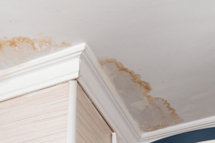 The image shows a ceiling with visible water damage. There are dark, discolored stains along the edges where the ceiling meets the wall, indicating a leak or moisture issue. The affected area highlights the need for professional water damage restoration to prevent further structural damage and mold growth.